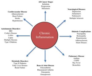 Chronic.Inflammation1
